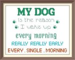 (image for) The Reason I Wake up Early